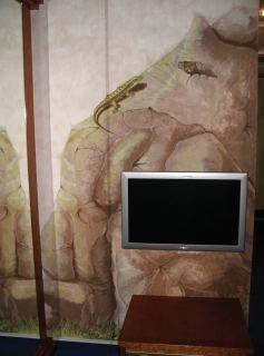 Hotel Drachen Basel Dış mekan fotoğraf